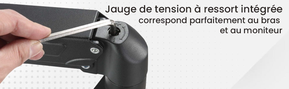 IntekView Support pour 2 écrans avec ressort à gaz