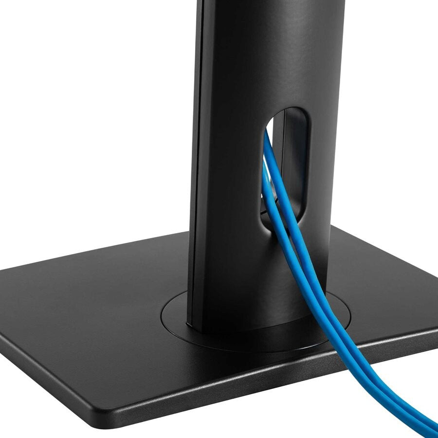 IntekView Support pour 1 écran sur pied ajustement facile